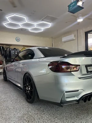 Auto Detailing around Orlando, FL